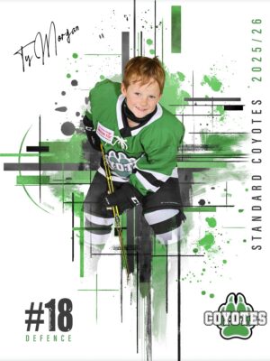 BVR_8x10_Abstract_Demo