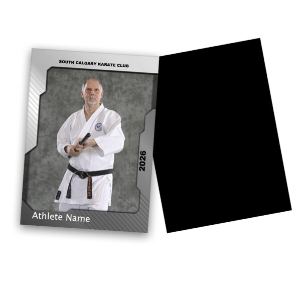 L. Detailed Magnets (8) - 